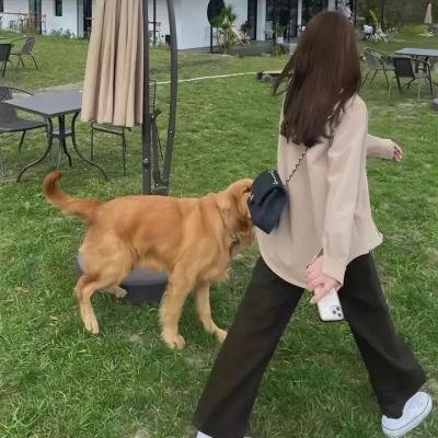 余罪第二季
